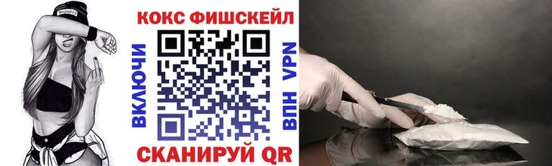 Кокаин FishScale  Купить закладки  Исилькуль 