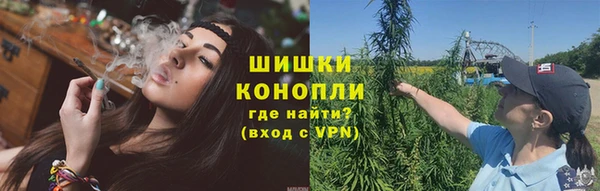 2c-b Гусев