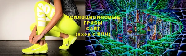МДПВ Гусиноозёрск
