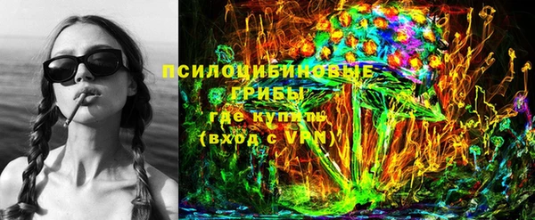 МДПВ Гусиноозёрск