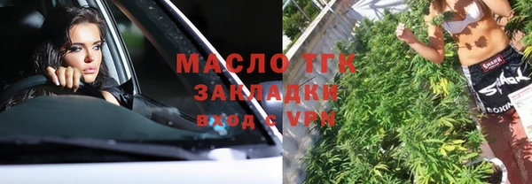 2c-b Гусев
