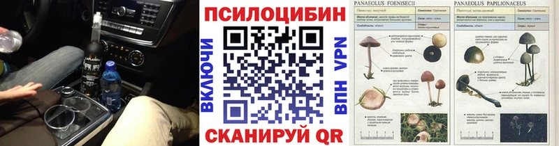 Купить где Исилькуль Галлюциногенные грибы прущие грибы